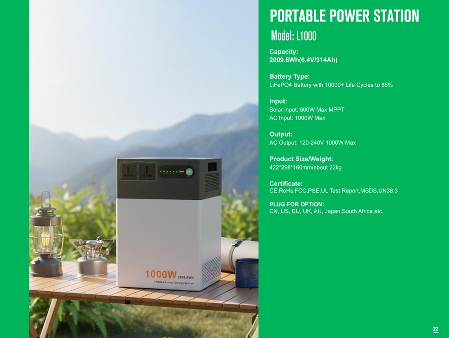 DG Power L1000 portable power station