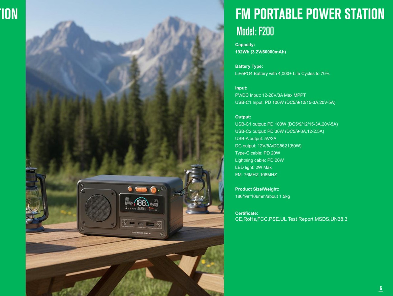 F100 full specification sheet