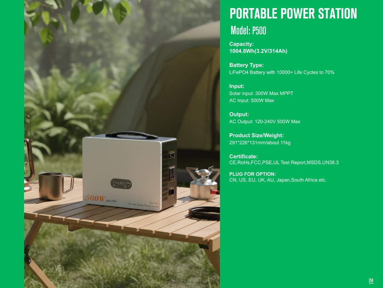 P300 full specification sheet
